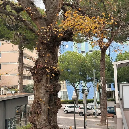 Arya & Sole Home- Nel Cuore Di Marina Centro, Apartamento