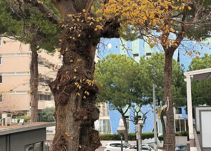 Arya & Sole Home- Nel Cuore Di Marina Centro, 아파트